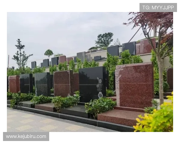 开云真人娱乐官网的注册流程与新手指南详解 开云真人娱乐官网的注册流程与新手指南详解