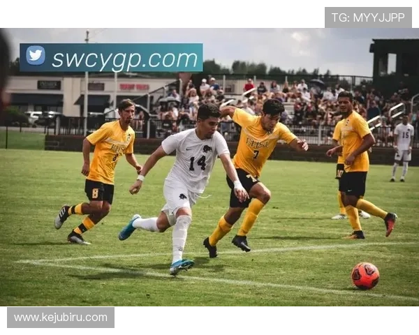 开云综合体育：引领体育创新潮流，打造具有国际影响力的体育品牌